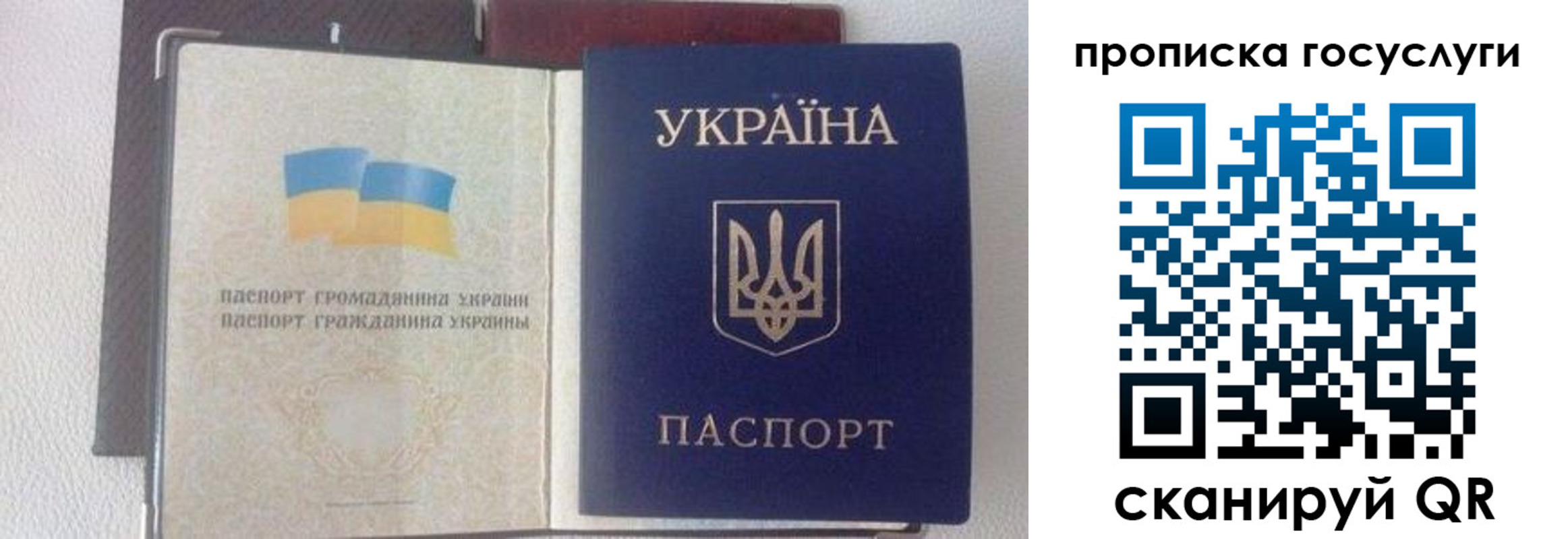 временная регистрация недорого в Жуковском